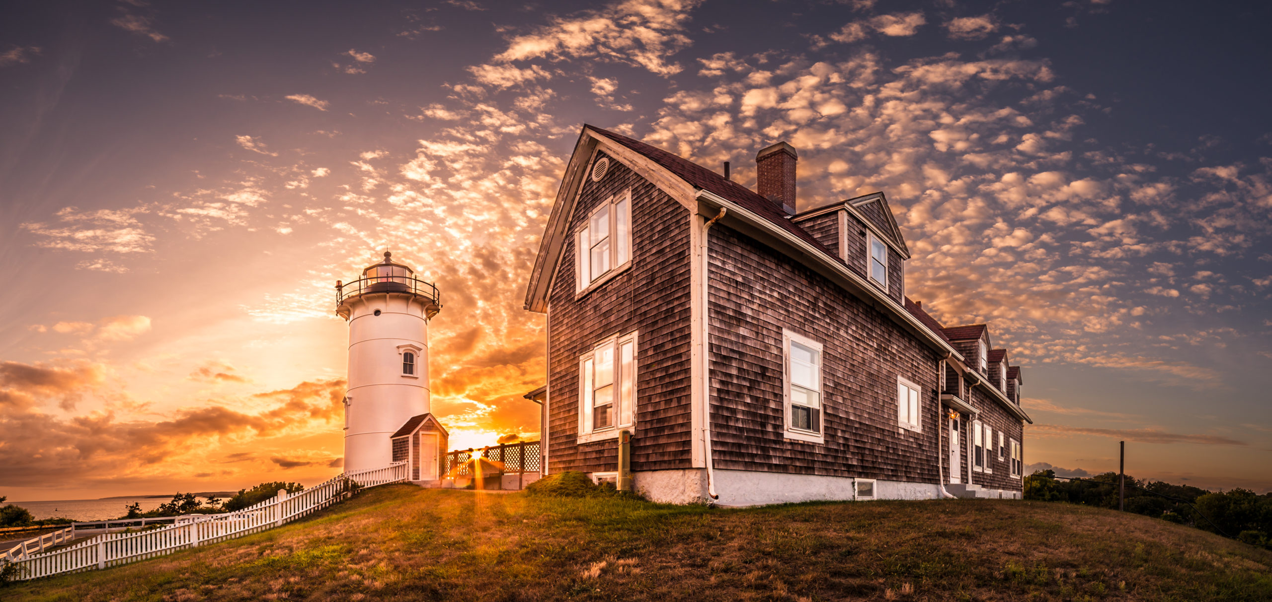 board-of-directors-falmouth-road-race
